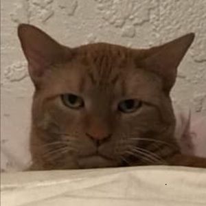 Meet your Posher, Kathryn